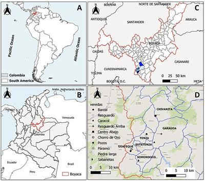 Interrogating the transmission dynamics of Trypanosoma cruzi (Trypanosomatida, Trypanosomatidae) by Triatoma venosa (Hemiptera: Reduviidae) after the elimination of vector transmission by Rhodnius prolixus in Boyacá eastern Colombia